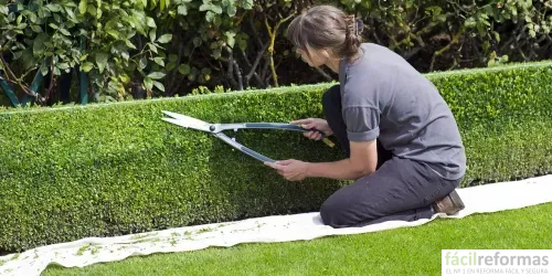 Mantenimiento de árboles y jardines