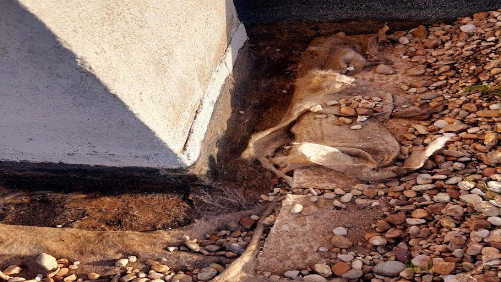 Impermeabilización zonas de terraza y azotea